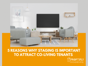 5 Reasons Why Staging is Important to Attract Co-living Tenants